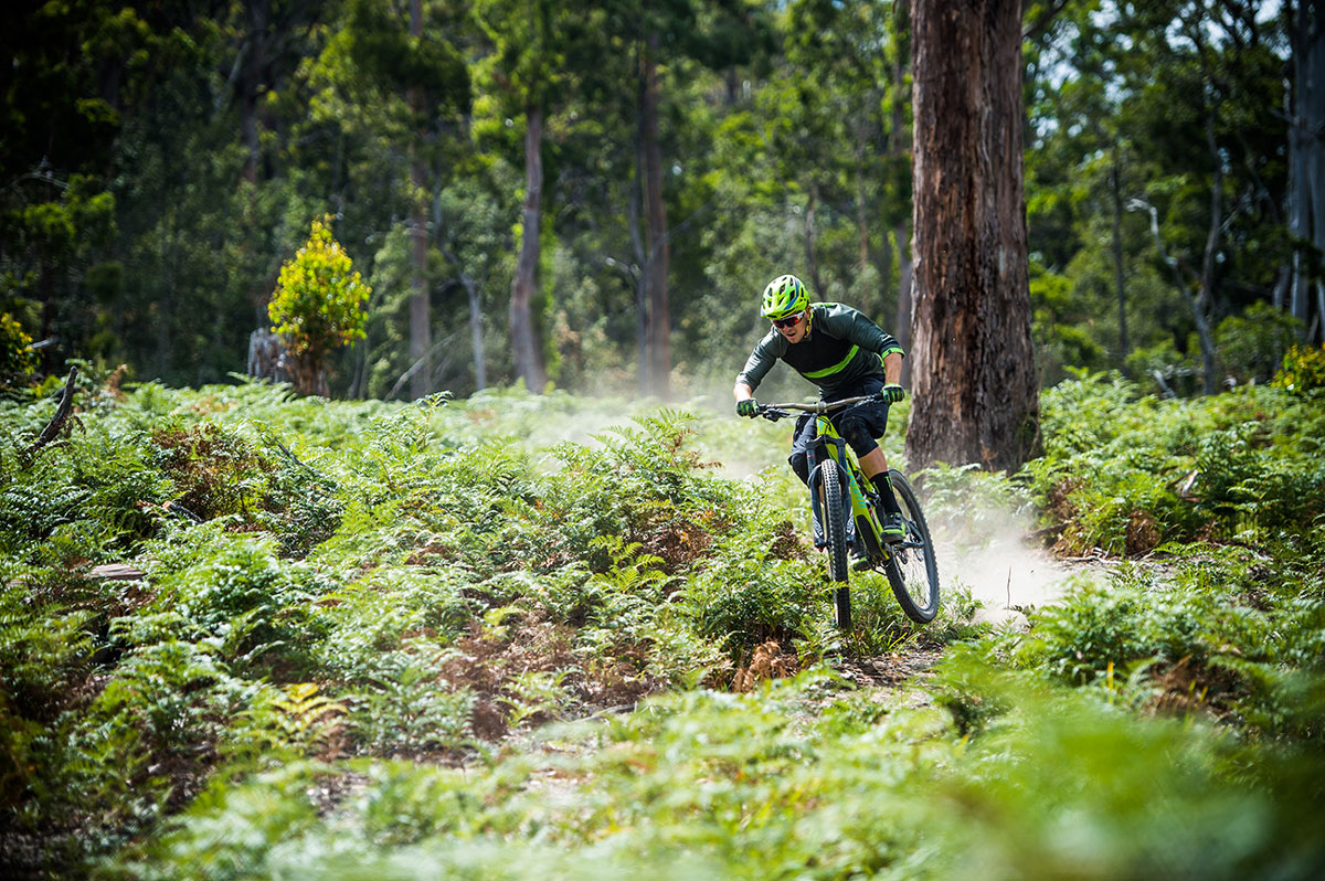Vilken typ av mountainbike passar mig? Sportson Svarar