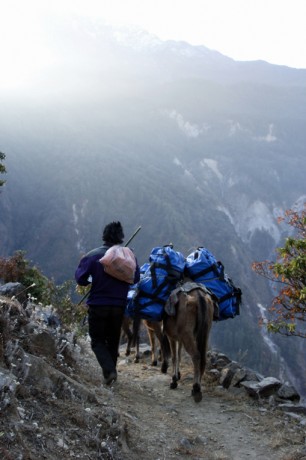 Supplies in Nepal