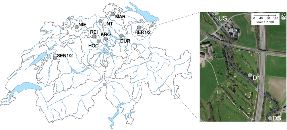 differential-effects-of-wastewater-treatment-plant-effluents-on-the