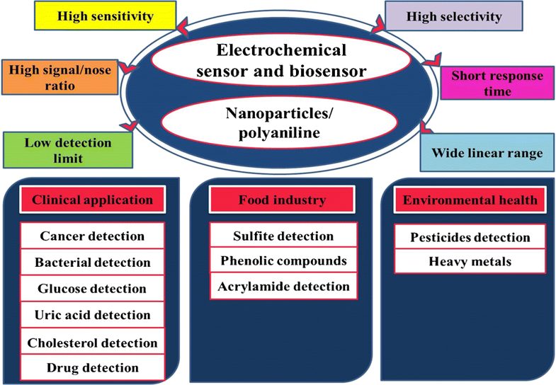 Electrochemical sensors and biosensors based on the use of polyanili