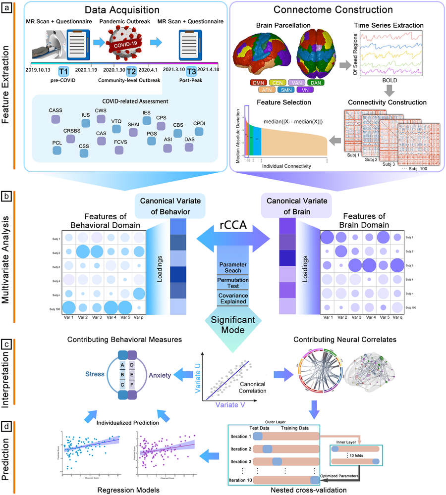 Multivariate patterns of brain functional connectome associated with