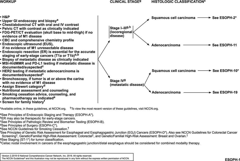 Esophageal and Esophagogastric Junction Cancers, Version 2.2019, NCC