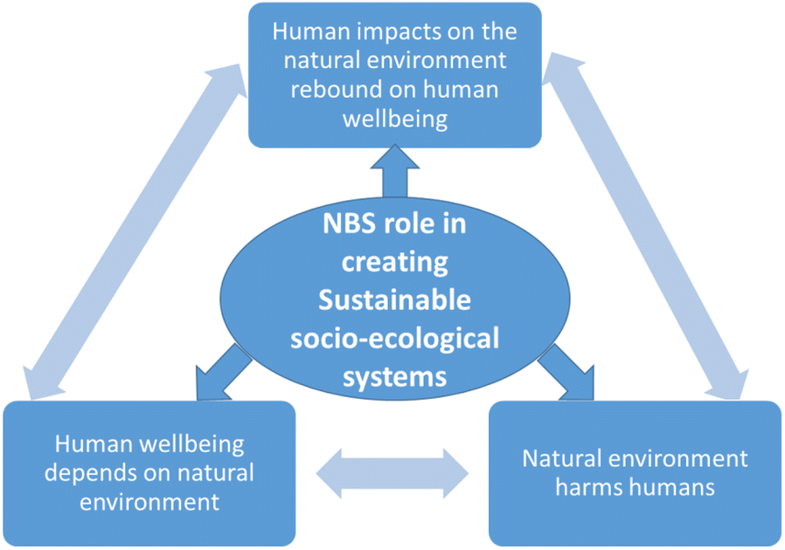 модули well being. велл биинг. Human well. Millennium ecosystem assessment 2005. обеспечивающие экосистемные услуги.