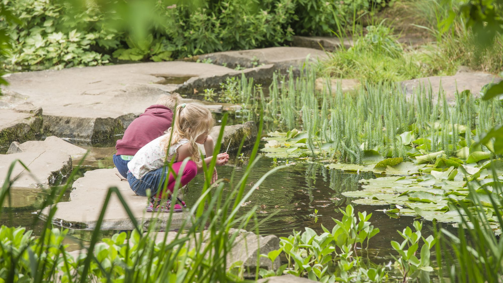 Children looking into the lake.