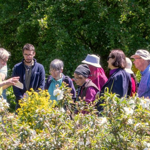 Community Projects
