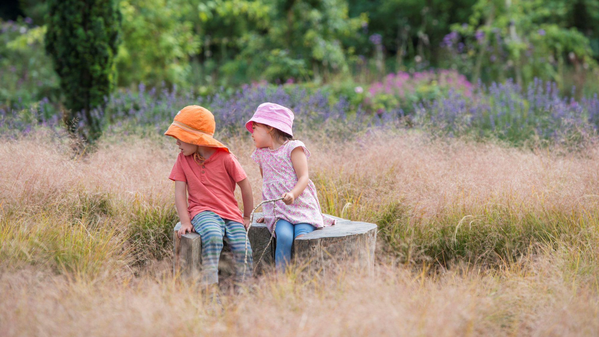 Children sitting in the grass maze