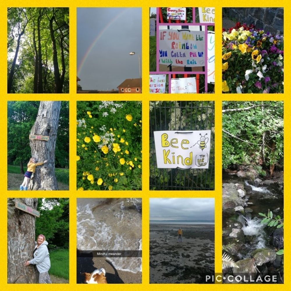 Walk This May Caroline