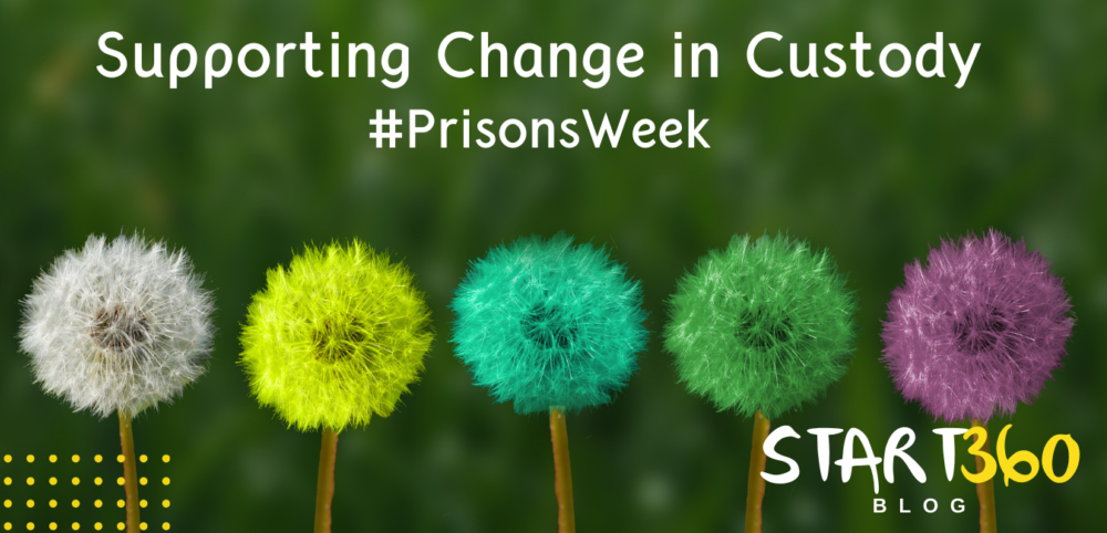 Blog Cover Supporting Change
