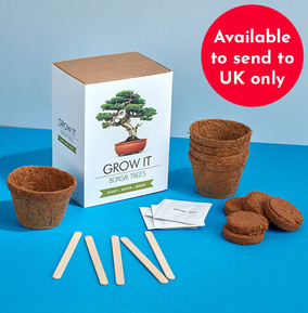 Gift Republic Ltd (Npp) Bonsai Tree - Grow It Kit