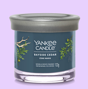 Yankee Candle Npp Amber Yankee Candle Small Bayside Cedar