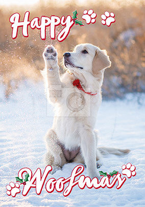 Happy Woofmas Photo Postcard - A6 - By Funky Pigeon: retailer-supplied image