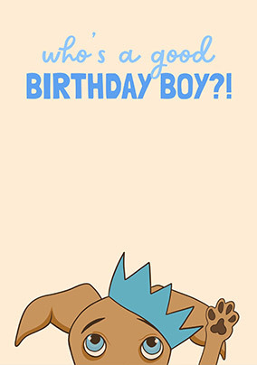 Who's a Good Birthday Boy Card - A5 - By Funky Pigeon