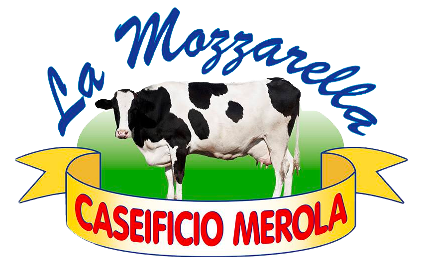 Atoka Visual Brand Communication Srl Ed In Forma Abbr...