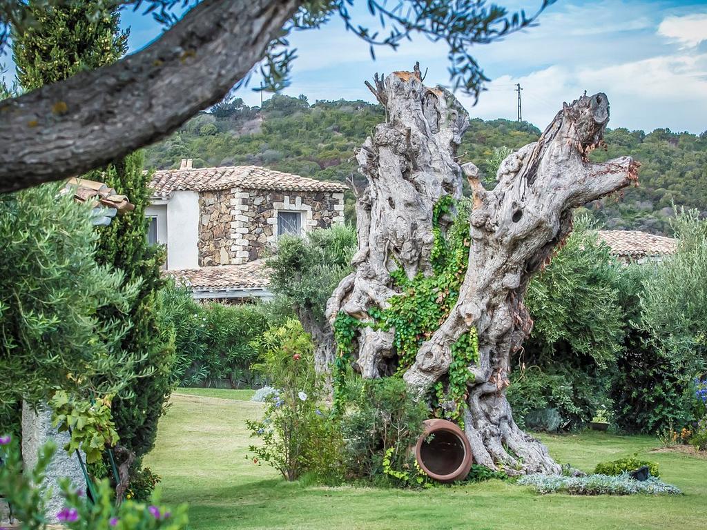 Offerte Pool Villas - Nicolaus Prime Villas