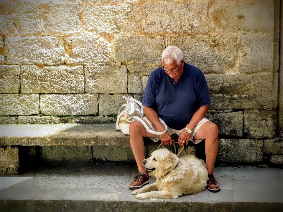 Image result for old person and a puppy