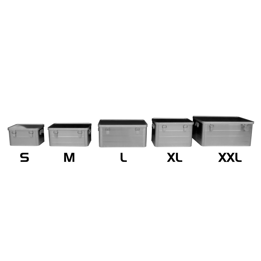 Accu Case ACF-SA//Transport Case Malle en aluminium Taille M