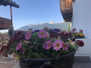 Pranzi esterni anziani Casa di Riposo e Centro Diurno