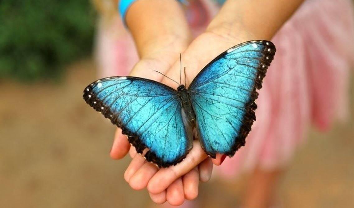 Immagine: Pubblicato opuscolo metodo Gentlecare