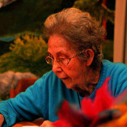 Immagine: A.P.S.P. “Ubaldo Campagnola”