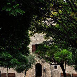 Immagine: A.P.S.P Ubaldo Campagnola 