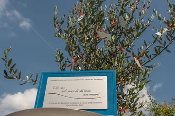 ULIVO DEL RICORDO DEI RESIDENTI SCOMPARSI A CAUSA DEL COVID-19