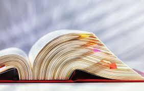 Immagine: Assemblee ODV
