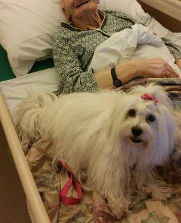 Progetto Pet therapy