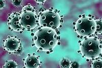Immagine: Aggiornamento Coronavirus di data 05/03/2020