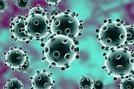 Indicazioni Coronavirus di data 24/02/2020