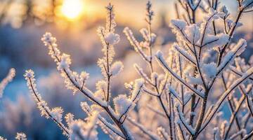 Immagine: Programma di animazione mese di Febbraio 2026