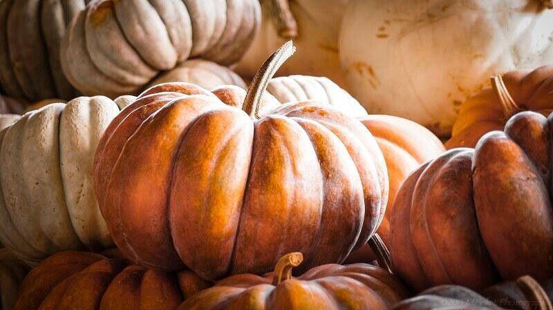 Immagine: Programma di animazione mese di Ottobre 2025