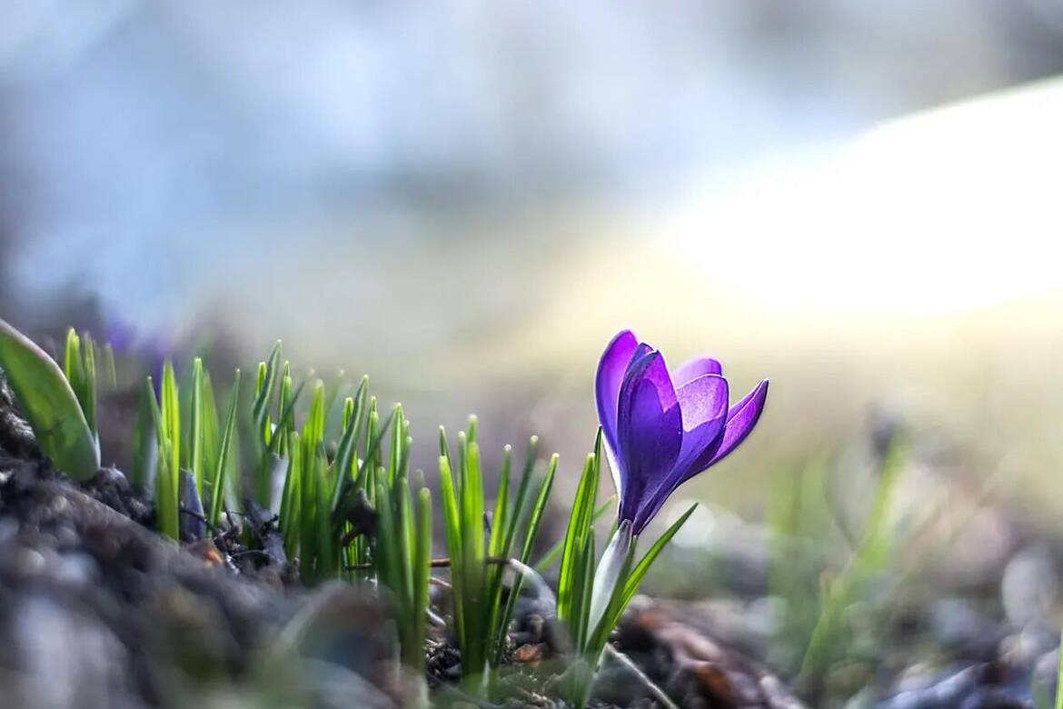 Immagine: Programma iniziative mese di MAGGIO 2026