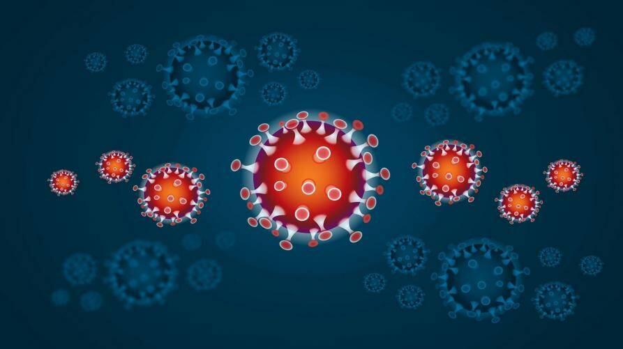 Immagine: NUOVO CORONAVIRUS - PARTE DEDICATA AL PERSONALE