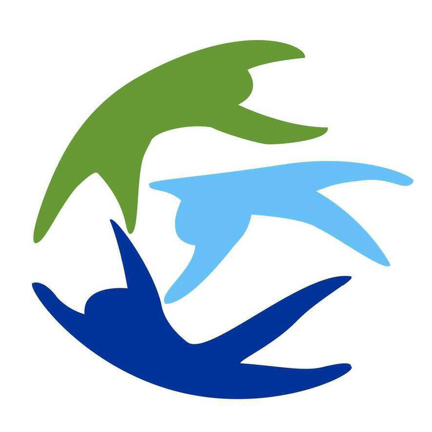 A.P.S.P. Giacomo Cis