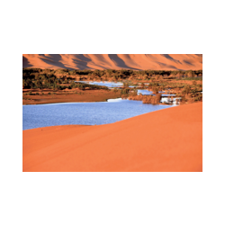 Immagine: L'oasi di Laayoune nel Sahara occidentale in Marocco