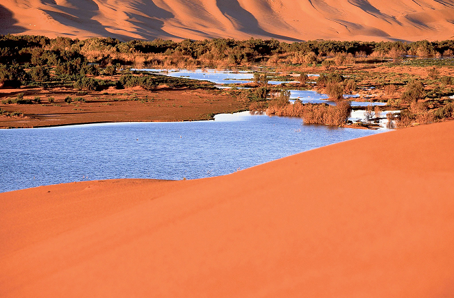 Immagine: L'oasi di Laayoune nel Sahara occidentale in Marocco