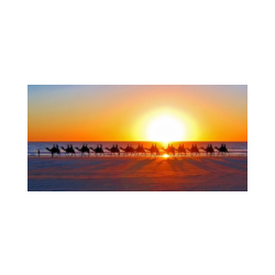 Immagine: Passeggiata al tramonto col cammello lungo Cable Beach vicino a Broome in Australia occidentale