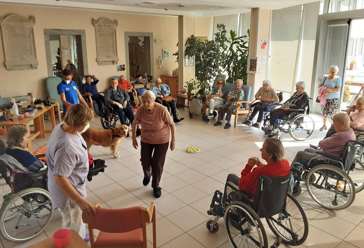 Immagine: PET-THERAPY