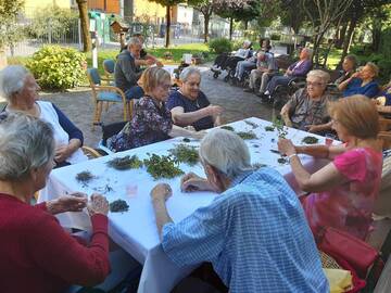 PREPARAZIONE ERBE AROMATICHE PER LABORATORIO