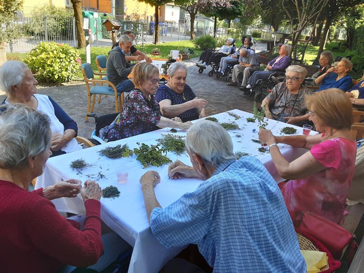 Immagine: PREPARAZIONE ERBE AROMATICHE PER LABORATORIO
