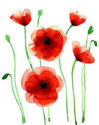 COMUNICAZIONE AI FAMILIARI DEGLI OSPITI - agg.to del 29 maggio 2020