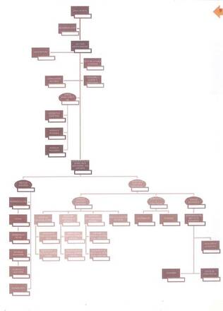 Organigramma 