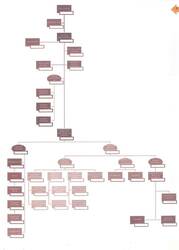Immagine: Organigramma 