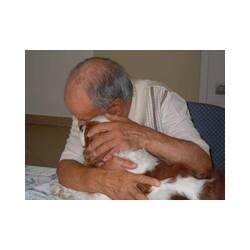 Immagine: pet - therapy abbraccio