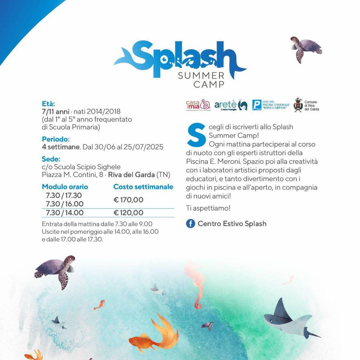 Immagine: CSET 2025 12 Splash