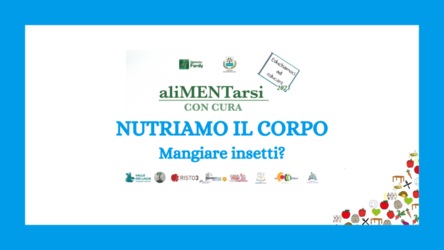 Immagine: Mangiare insetti? | Castel Madruzzo