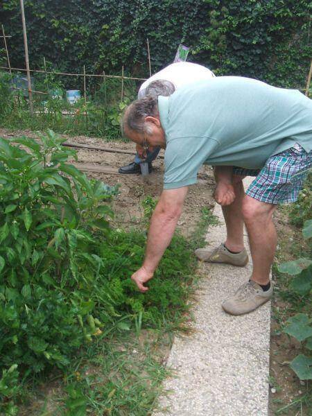 Immagine: Attività nella Casa di Soggiorno