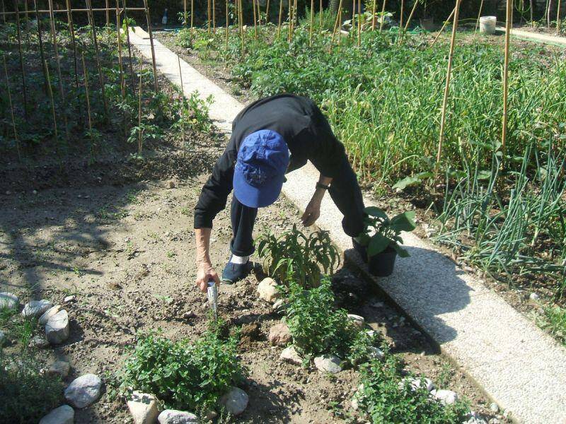 Immagine: Attività nella Casa di Soggiorno