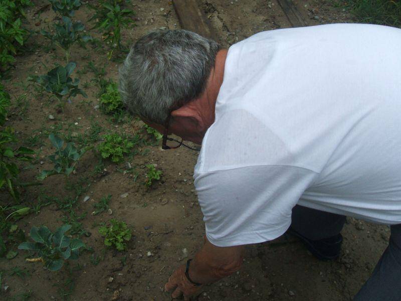 Immagine: Attività nella Casa di Soggiorno