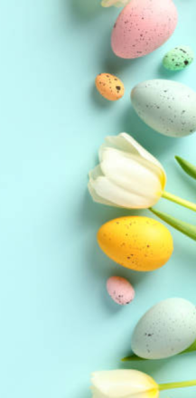 Immagine: Calendario attività aprile 2026 - CENTRO SERVIZI VIA PORTICI 19